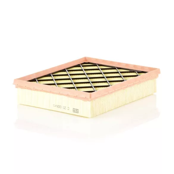 MANN FILTER C25008/1 levegőszűrő